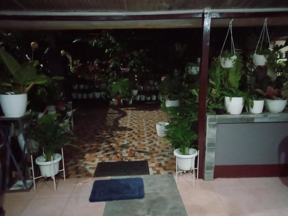 Dalinda's