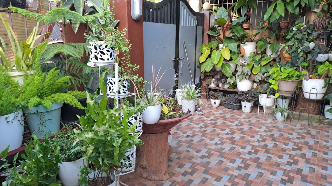 Dalinda's Homestay
